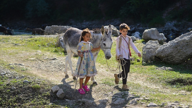 Usta Yönetmen Onur Tan’dan sımsıcak bir aile filmi: “Bal Kaymak”
