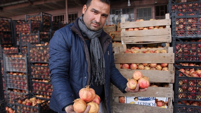 Zivzik narının kış mevsiminde tüketimi artıyor
