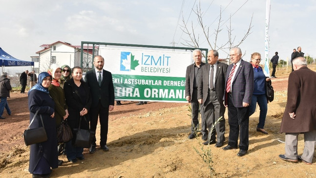 Mehmetçik için zeytin fidanı diktiler