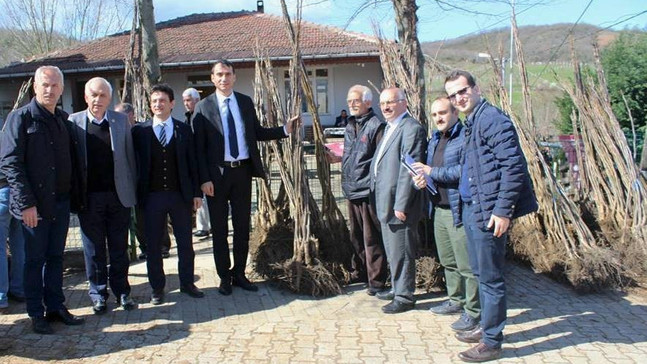 Örencik’te ceviz fidanı dağıtıldı
