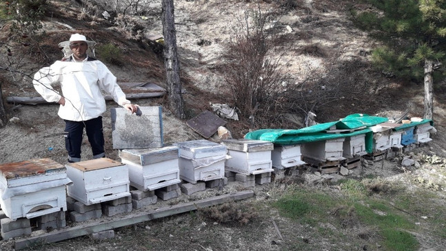 Akdağ balı marka olma yolunda