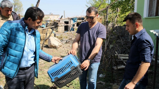 Sosyal medya üzerinden keklik satışı