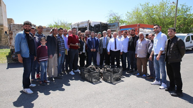 Mardin’de çiftçilere hindi dağıtıldı
