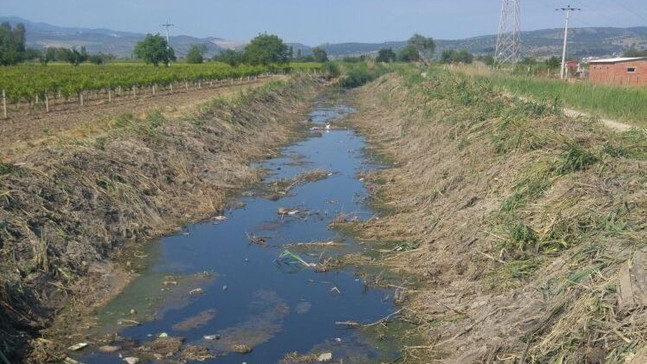 Muradiye’nin deresi temizlendi
