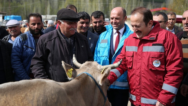 Vali Pehlivan canlı hayvan pazarında incelemelerde bulundu
