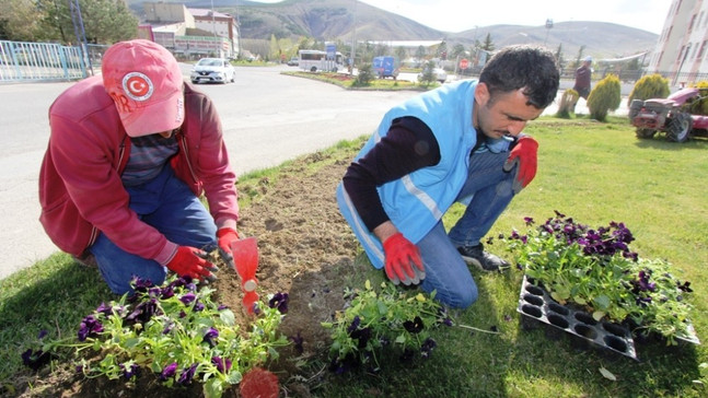 Bayburt’ta 80 bin adet menekşe ve lale soğanı toprakla buluştu
