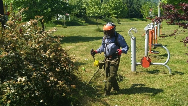 Sapanca’ ya bahar bakımı
