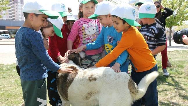 Odunpazarı’ndan sokaktaki dostlara yardım eli
