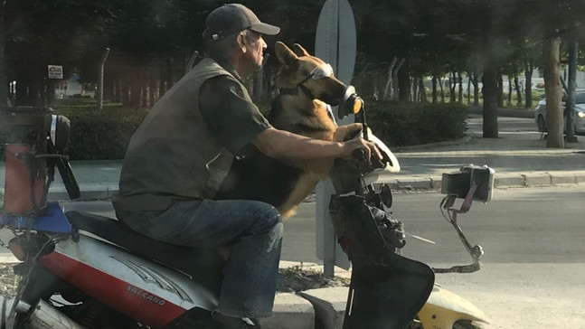 Trafikte eğlenceli yolculuk
