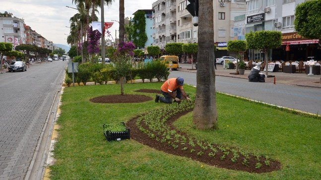 Alanya’ya 300 bin çiçek
