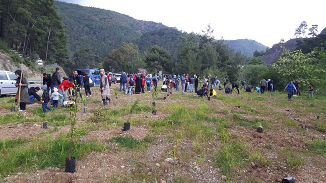 Marmaris’te Şehit Nedip Cengiz Eker Hatıra Ormanı’na fidan dikildi