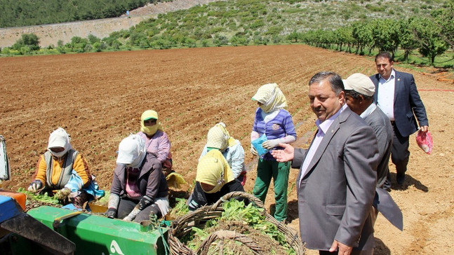 Baştuğ’dan Çiftçiler günü mesajı
