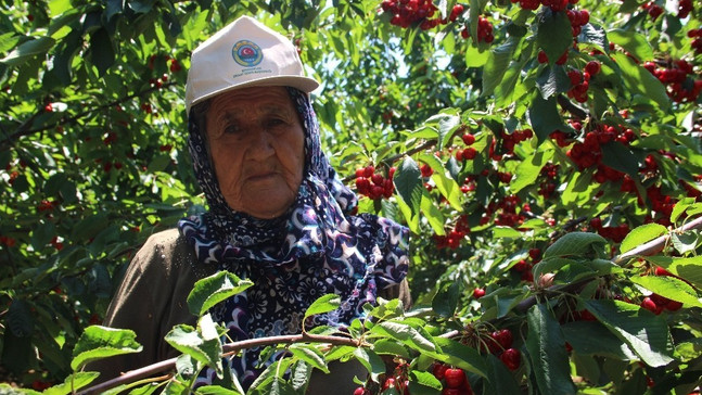 Çiftçinin beklentisi mazot ve gübre fiyatlarının düşmesi
