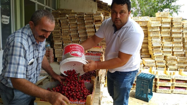 Selendili kiraz üreticileri tedirgin
