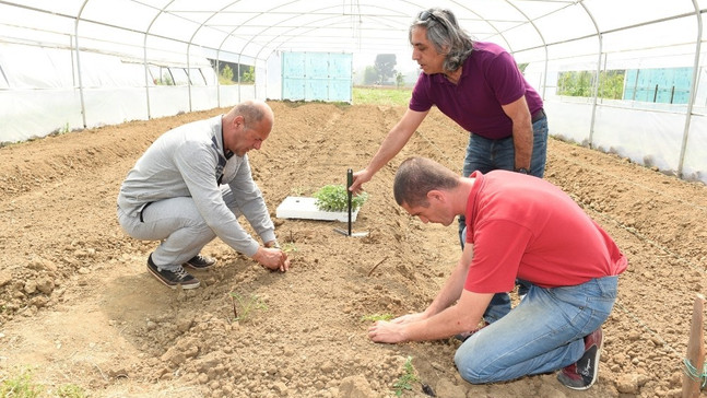 Dezavantajlı gruplara çalışma fırsatı