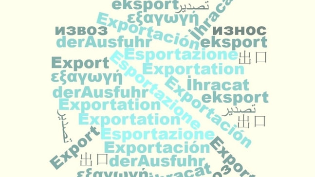 Egeli ihracatçılar 11 dil konuşuyor
