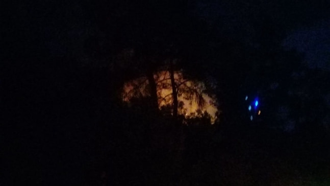 Marmaris Hisarönü’nde çıkan orman yangını söndürüldü
