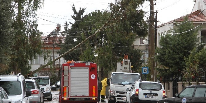 Fethiye’deki Şiddetli Fırtına Ağaçları Devirdi
