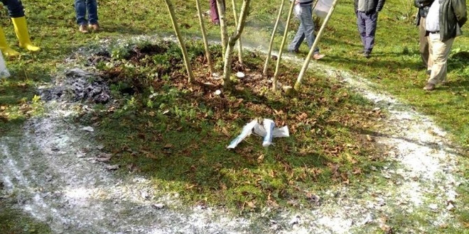 Fındıkta azot gübre dönemi
