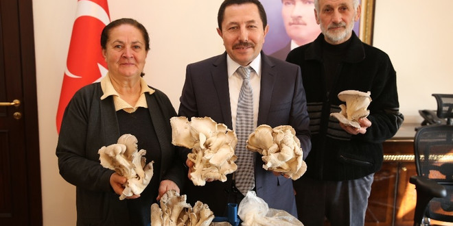 Çiftçi çiftin azmi
