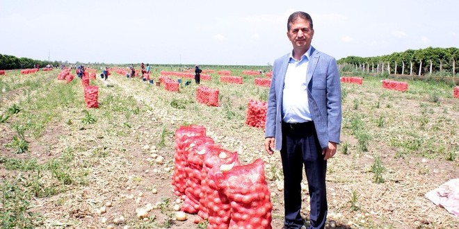 Rusya’nın alım yasağını kaldırdığı soğanda ilk hasat