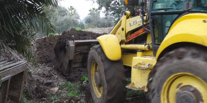 Marmaris Belediyesi torf üretti