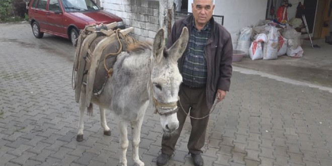 Sahibi ona gözü gibi bakıyor