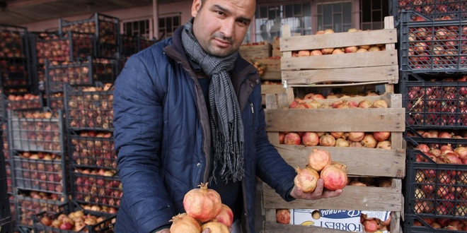 Zivzik narının kış mevsiminde tüketimi artıyor
