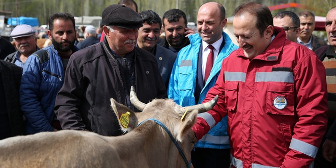 Vali Pehlivan canlı hayvan pazarında incelemelerde bulundu
